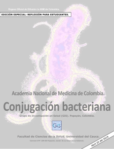 Conjugación-bacteriana-y-resistencia-a-antibióticos