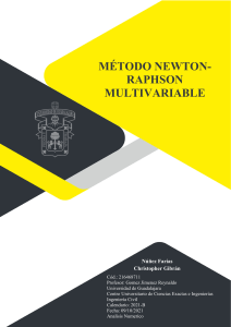 Metodo Newton-Raphson Multivariable