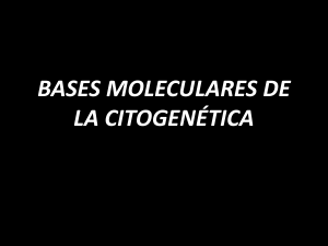 BASES MOLECULARES DE LA CITOGENETICA