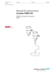 manual Cerabar PMP51B