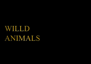 willd animals