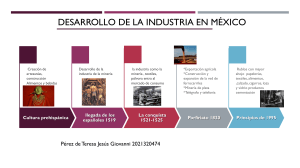 desarrollo de la industria en México