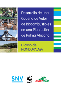 desarrollo de una cadena de valor de biocombustibles en una plantacion de palma africana el caso de hondupalma