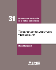 derechos fundamentales de la democracia