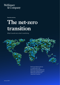 the net-zero transition-report-jan-2022-es-final