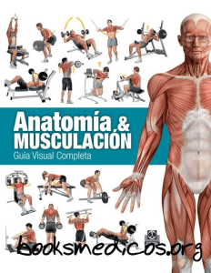 Anatomia y Musculacion - Guia Visual Completa