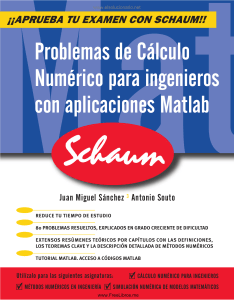 Problemas de calculo numerico para ingenieros con aplicaciones Matlab by Sanchez, Juan Miguel(Author) (z-lib.org)