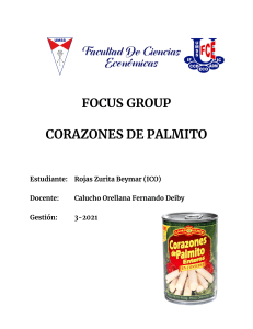 FOCUS GROUP palmitos (1)