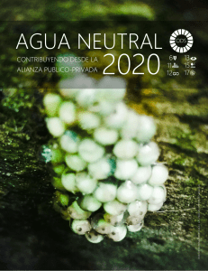 Informe Agua Neutral Cuenca Sur Xolotlan 2020