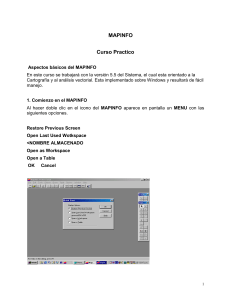 Manual Mapinfo (resumen)