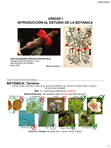 Unidad 1 - Introducción Botánica
