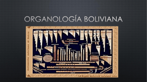 organologia Bolivia