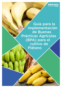 Guía-Buenas Prácticas Agrícolas para el Plátano en Perú