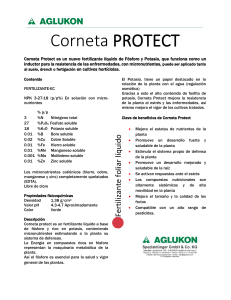 Corneta Protect-comprimido