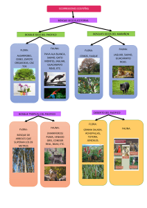 INFOGRAFIA LAU