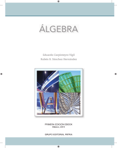 355936651-Algebra-Libro-pdf