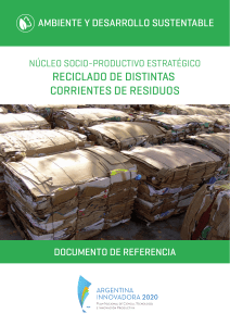 Reciclado de Distintas Corrientes de Residuos-Dra. Leila Devia Agosto de 2013
