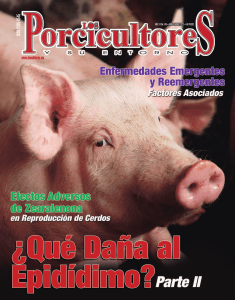 Los Porcicultores y su Entorno 146 