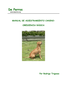 02. Manual de Adiestramiento canino. Obediencia básica autor Rodrigo Trigosso