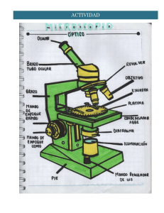 Microscopio 
