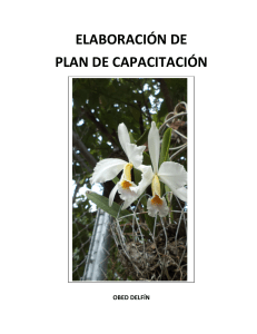 ELABORACION DE PLAN DE CAPACITACION pdf (1)