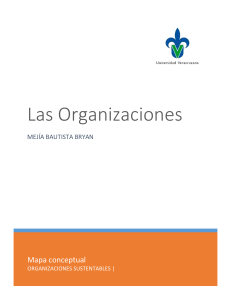 Las organizaciones