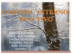 CONTROL-INTERNO-DE-EFECTIVO
