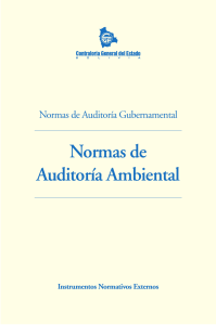 04 Norms Audit Ambiental