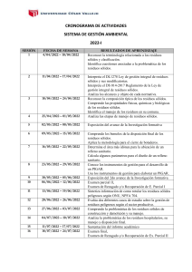 CRONOGRAMA DE ACTIVIDADES (7)