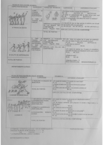 coevaluación voley