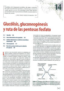 03 Semana 1 Lectura 1 Glucolisis, gluconeogénesis y ruta de las pentosas fosfato Parcial 2