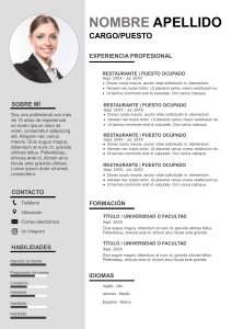 73-curriculum-vitae-empresarial-97-2003