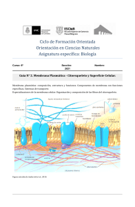 Guia 2 6to - 2021  Membrana Plasmática