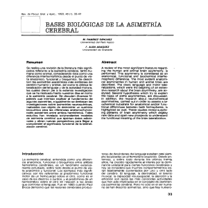 Ramirez Sanchez, M; Alba Aragüez, F (1993). Bases biológicas de la asimetría cerebral
