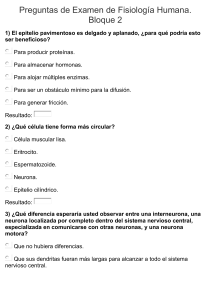 Preguntas de Examen de Fisiología Humana BLOQUE 2