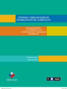 Criterios Orientaciones Flexibilizacion Curricular-2009