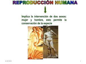 reproducción Humana