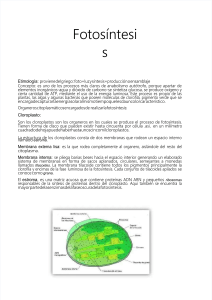 pdf-fotosintesis-word
