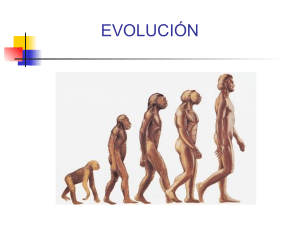 Evolución (1).pptx