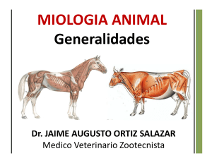 10. GENERALIDADES DE MIOLOGIA ANIMAL