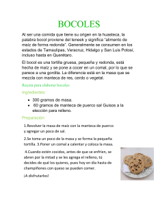 BOCOLES (1)