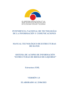 1.0 Manual Tecnológico Riesgo de Liquidez L01