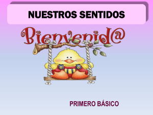 -Los-Sentidos-1-Basico-Ppt