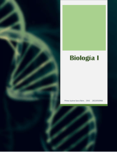 Bilogía I