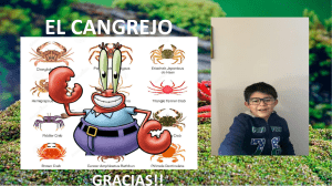 El Cangrejo - Máximo Valenzuela