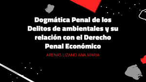 dogmatica penal ambientales