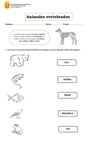 Guía animales vertebrados 2° basico