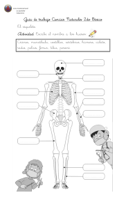 Guía El esqueleto 11 abril