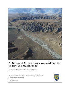 Dryland Stream Processes and Forms  final 