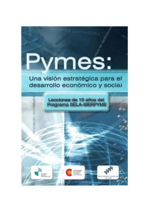 PYMES una Vision Estrategica para el Desarrollo Economico y Social. Lecciones de 10 años del Programa SELA-IBERPYME